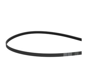 Belt D4/D6 Power Steering